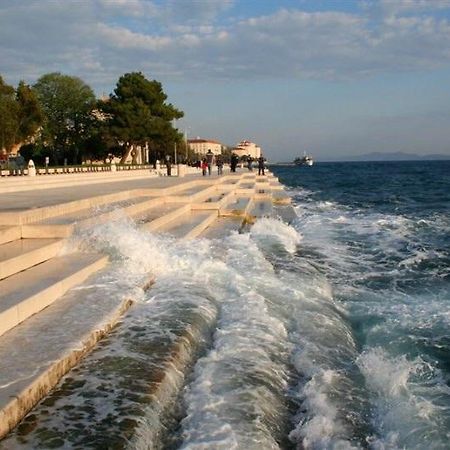 Apartment Olives Zadar Rom bilde